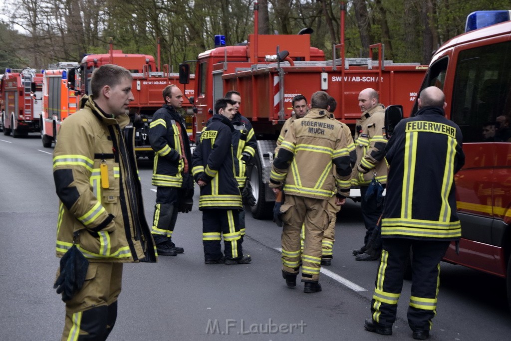 Waldbrand Wahner Heide Troisdorf Eisenweg P260.JPG - Miklos Laubert